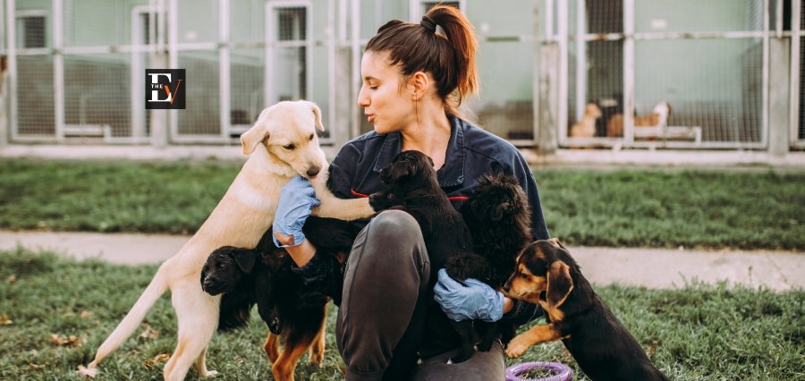 Humane Society Efforts