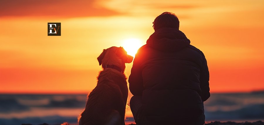The Emotional Bonds Between Humans and Animals